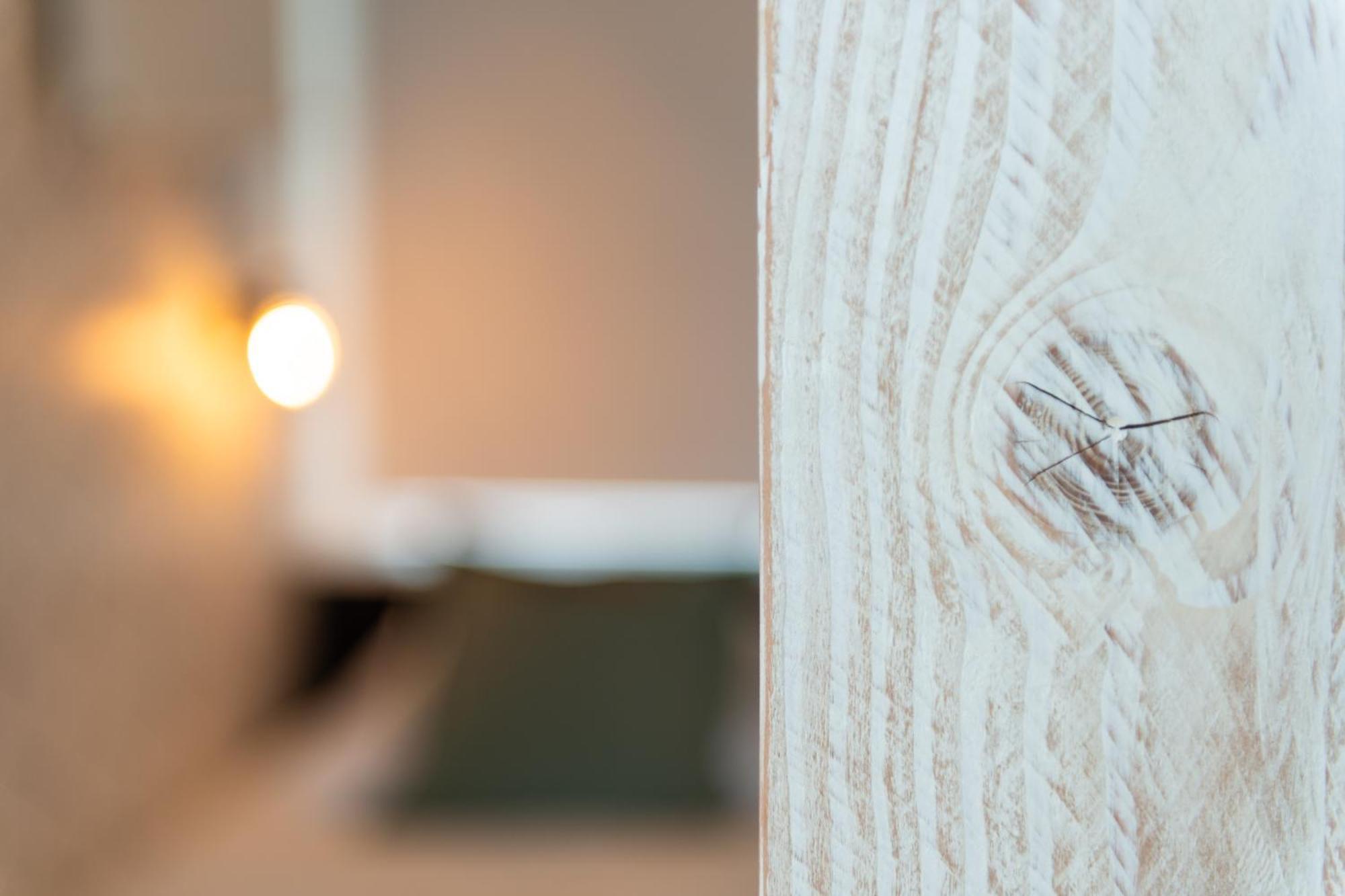 Appartement Zuyd Zandvoort Exteriör bild